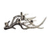 Channing Stylized Coral Candle Holder